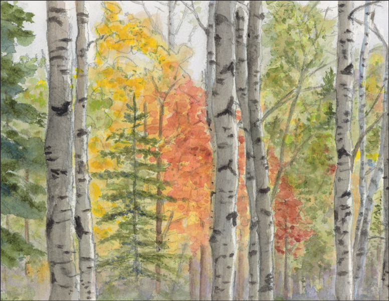 4.25 x 5.5 Forest Trees Notes | It Takes Two